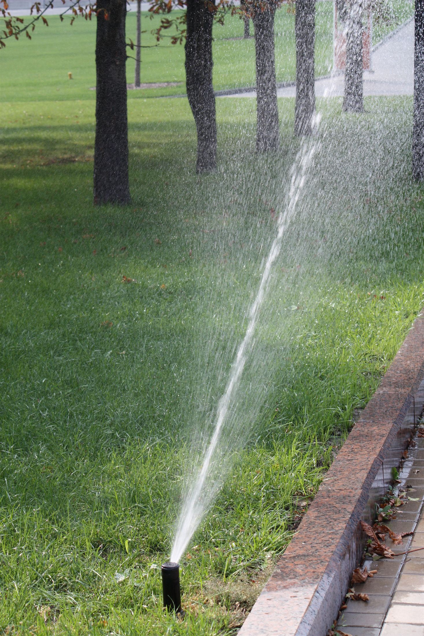 Парк Ленінського Комсомолу, фото 2